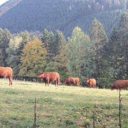 Appartement Urlaub Auf Dem Bauernhof à Netphen Extérieur photo