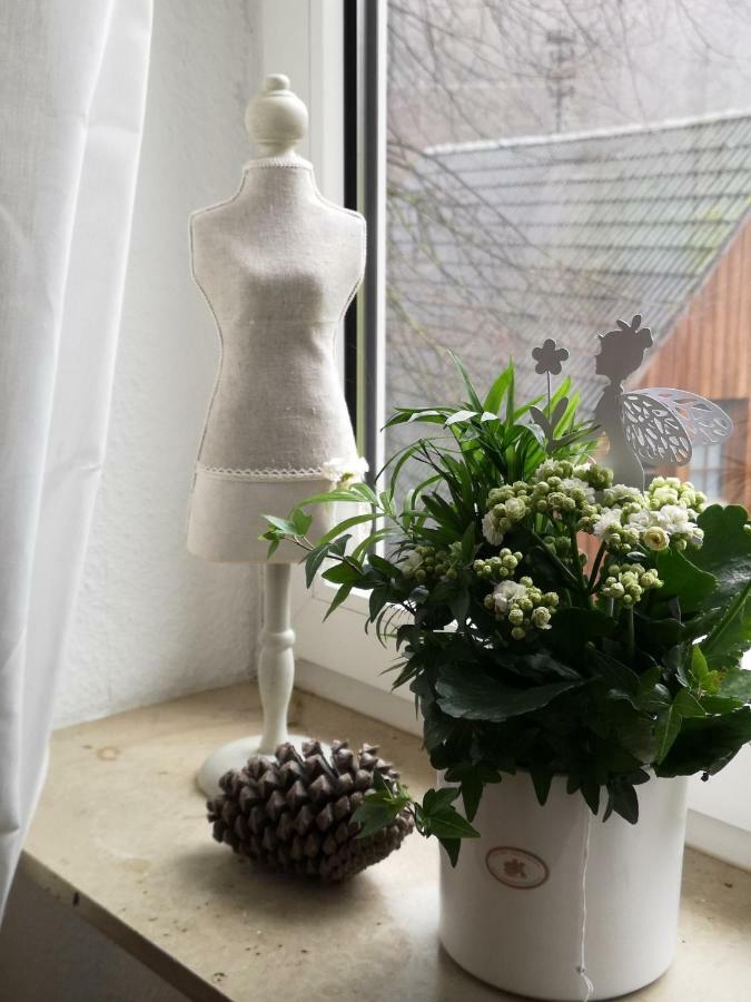Appartement Urlaub Auf Dem Bauernhof à Netphen Extérieur photo